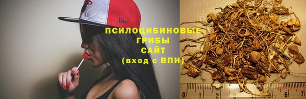 гидра Володарск