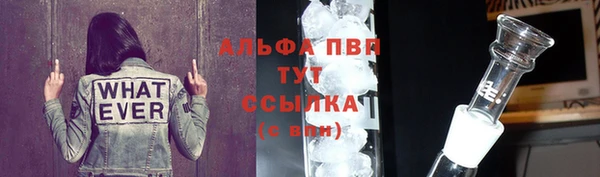 гидра Володарск