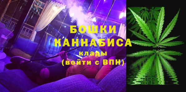 spice Вяземский