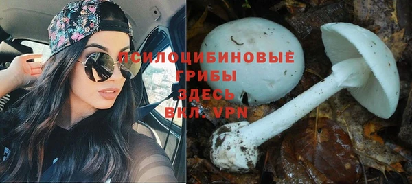 spice Вяземский