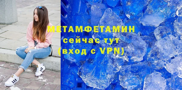 гидра Володарск