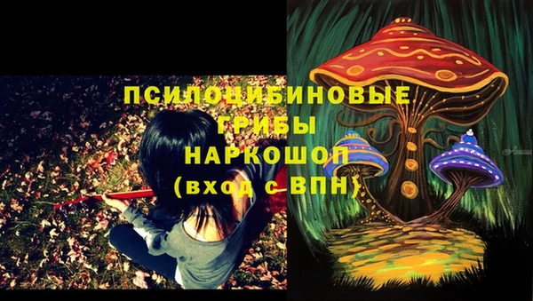 гидра Володарск