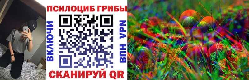 Псилоцибиновые грибы мицелий Заринск